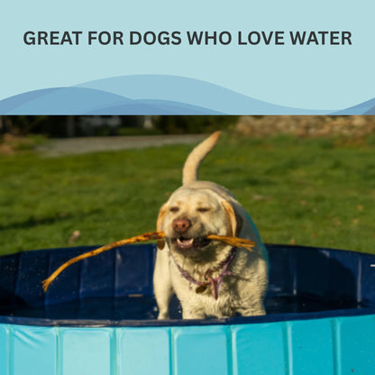 SummerPawz Foldable, Hard Plastic, Portable Dog Pool,