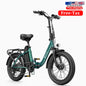 DYU 2025 New Model US Stock C9 20 Inch 750W Max Speed 45km/h Folding Electric Bike Long-Range Ebike