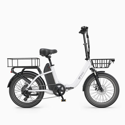 DYU 2025 New Model US Stock C9 20 Inch 750W Max Speed 45km/h Folding Electric Bike Long-Range Ebike