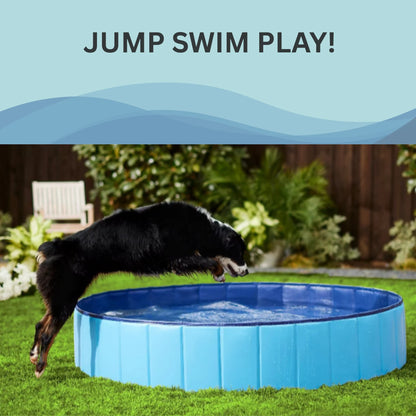 SummerPawz Foldable, Hard Plastic, Portable Dog Pool,