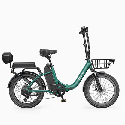 DYU 2025 New Model US Stock C9 20 Inch 750W Max Speed 45km/h Folding Electric Bike Long-Range Ebike