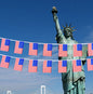 Aerlxemrbrae  6M 20pieces/set 14cmx21cm   American Flag