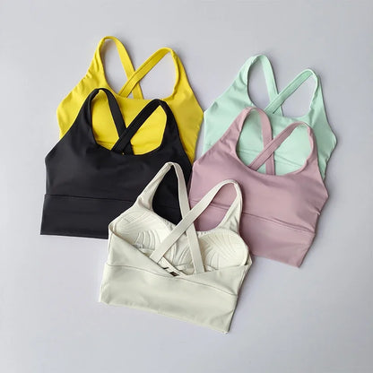 All-in-one Sports Bra Collection Breast High-intensity Professional