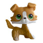 Rare pet toy Stands Short Hair Kitten Dog Dachshund Collie