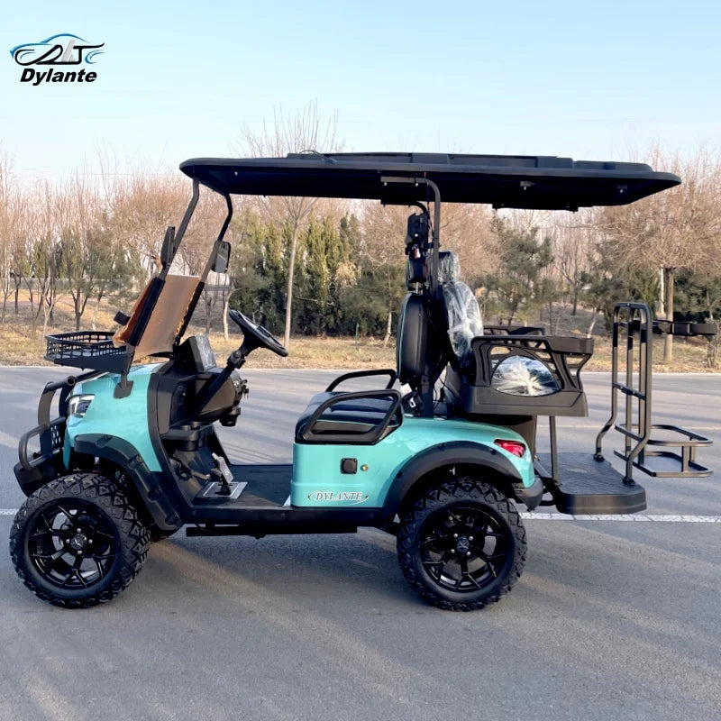 Made in China Low Price 2 4 Seater 48/60V/72V Battery