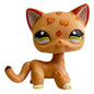 Rare pet toy Stands Short Hair Kitten Dog Dachshund Collie