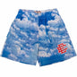 EE Eric Emanuel Men Beach Board Shorts fitness