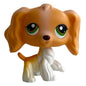 Rare pet toy Stands Short Hair Kitten Dog Dachshund Collie
