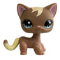 Rare pet toy Stands Short Hair Kitten Dog Dachshund Collie