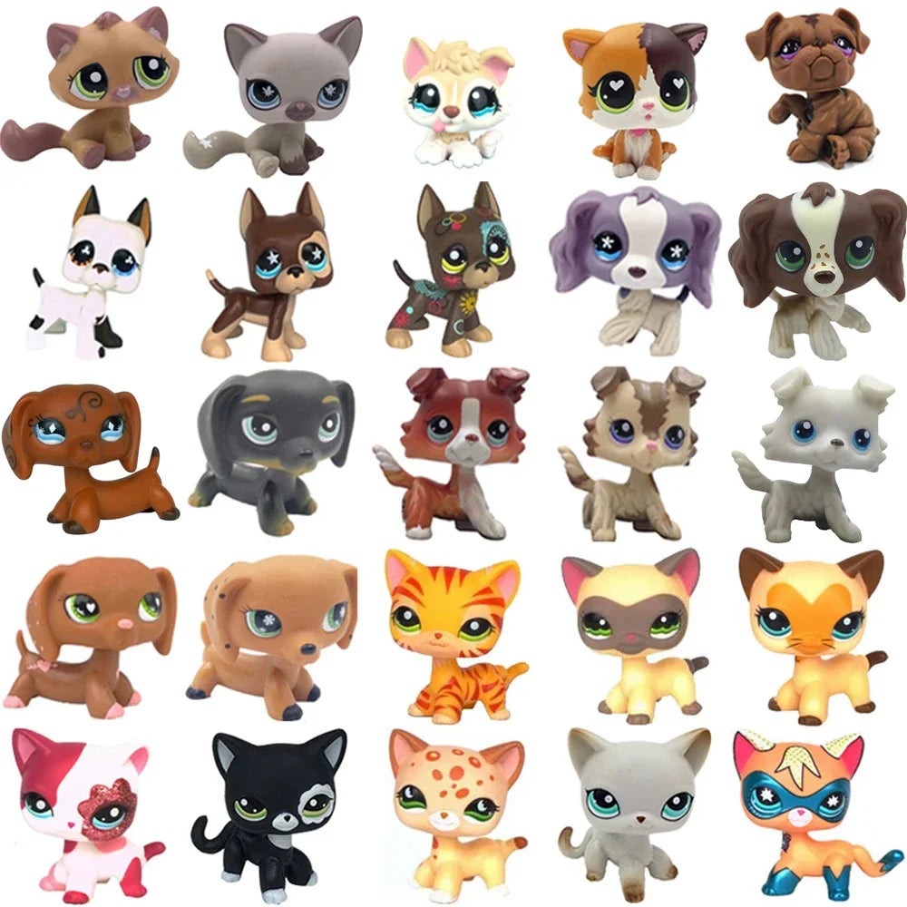 Rare pet toy Stands Short Hair Kitten Dog Dachshund Collie