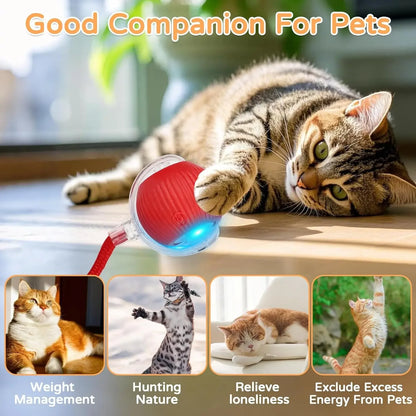 Dog Cat Interactive Ball Toy Automatic Rolling Ball Faux Tail