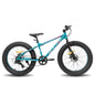 Hiland 20 Inch Kids' Bicycles Fat Tire Mountain Bike for  Age 5 + Years,