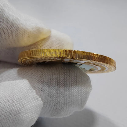 5pcs United States Naval Special Warfare Command Challenge Coins Navy Seals Military