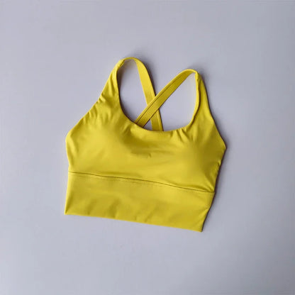 All-in-one Sports Bra Collection Breast High-intensity Professional