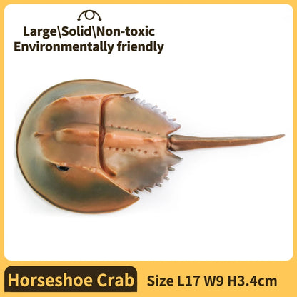 Sea animals Horseshoe Crab Figurine - Plastic Model Anime figures