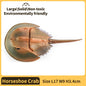 Sea animals Horseshoe Crab Figurine - Plastic Model Anime figures