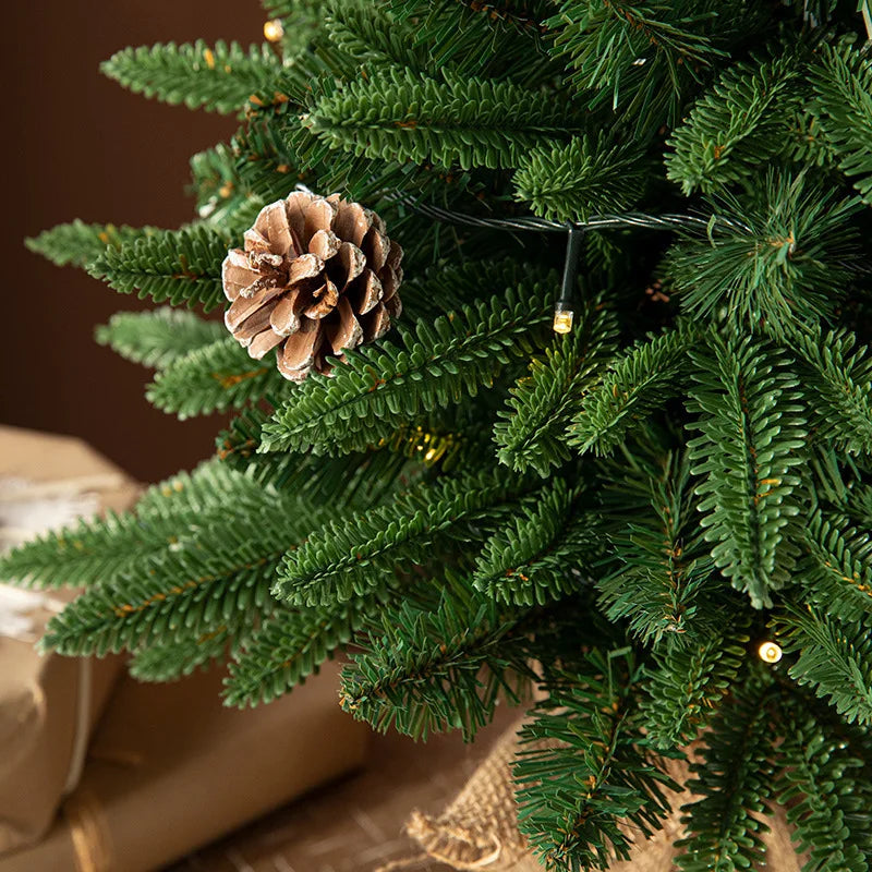 Christmas tree, Christmas, cedar, Christmas decorations, New Year