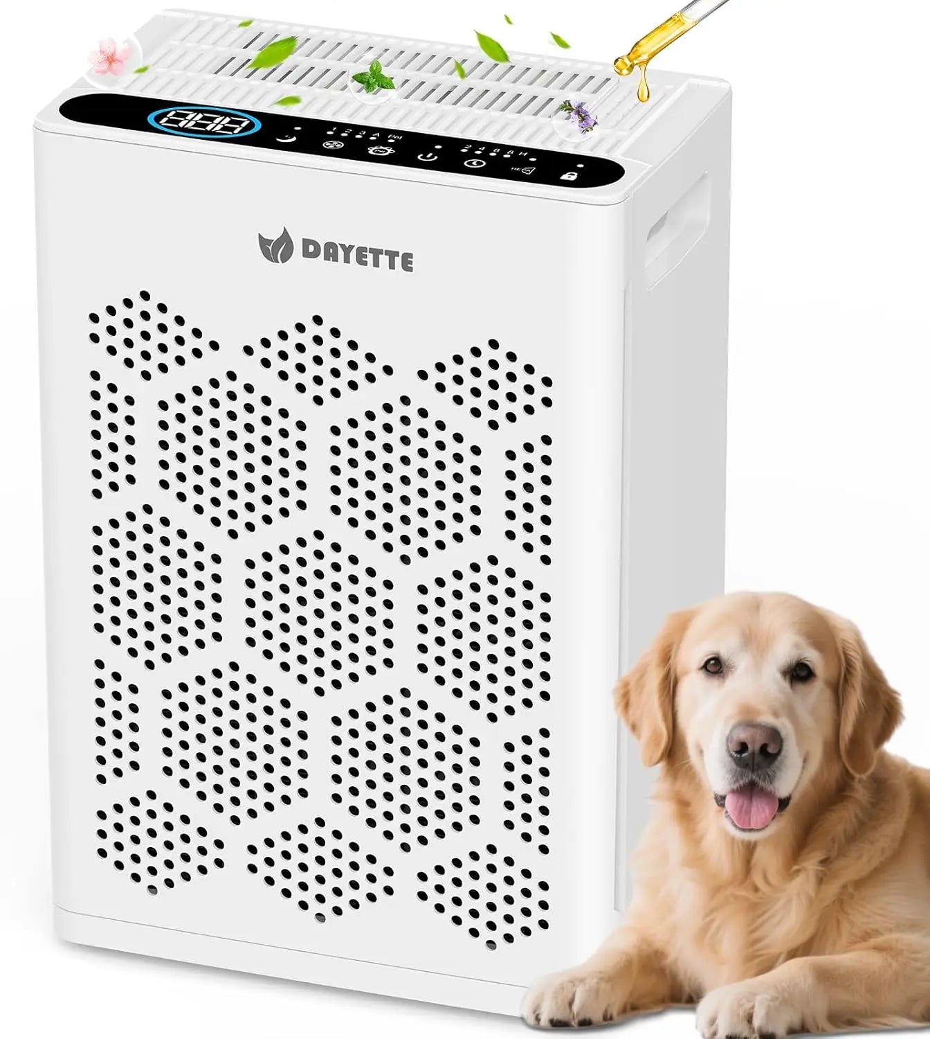 Large Room Air Purifier with HEPA Filter