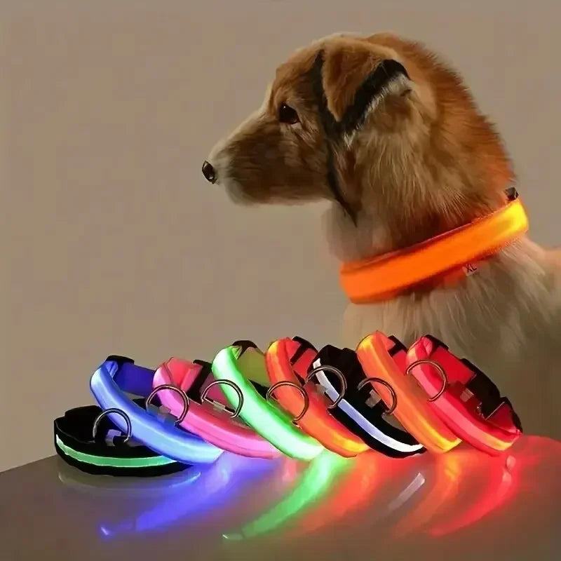 Light Up LED Pet Dog Collar Safety Night Walking Flashing Glow