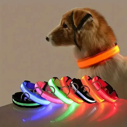 Light Up LED Pet Dog Collar Safety Night Walking Flashing Glow