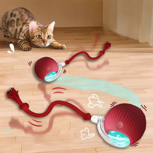 Intelligent interactive cat ball long-lasting and durable