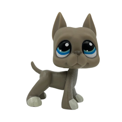 Rare pet toy Stands Short Hair Kitten Dog Dachshund Collie