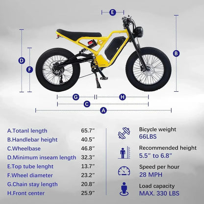 Electric Bicycle Full Suspension Removable Battery Fat TIRE