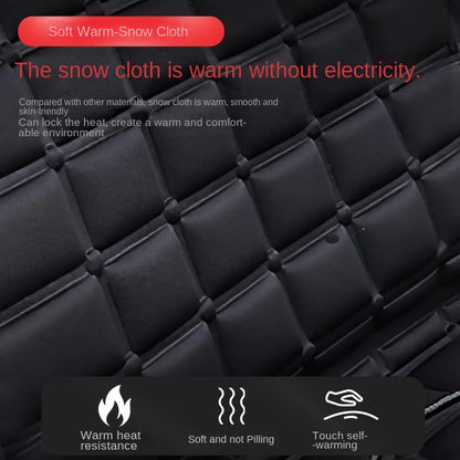 Car heating seat cushion, car winter seat, electric heat