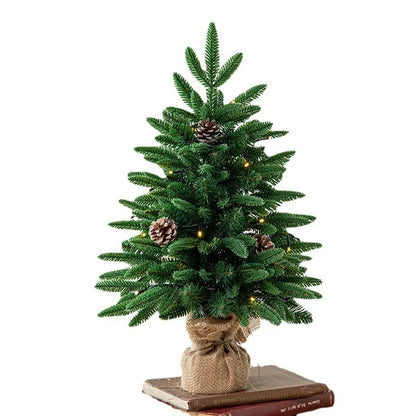 Christmas tree, Christmas, cedar, Christmas decorations, New Year