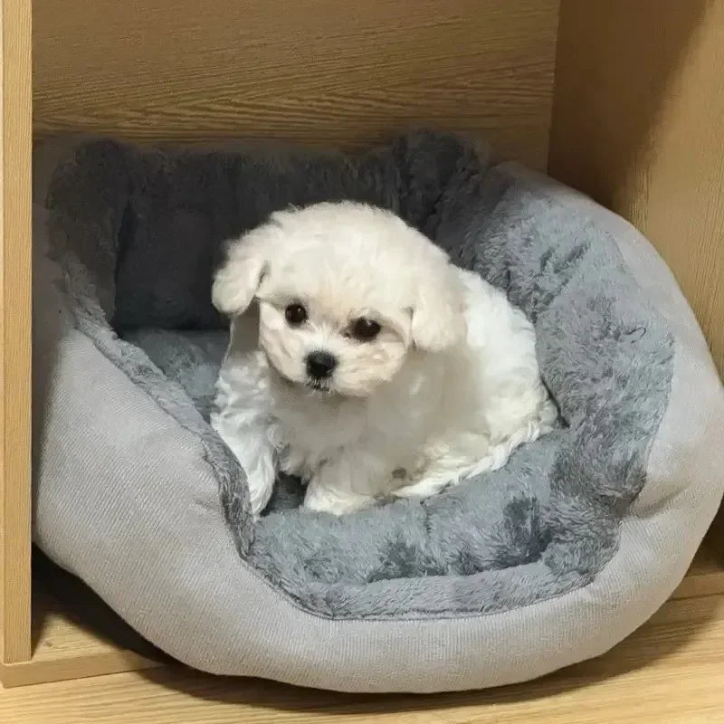 Very Soft Warm Dog Bed Pets Basket Cat House Sofa