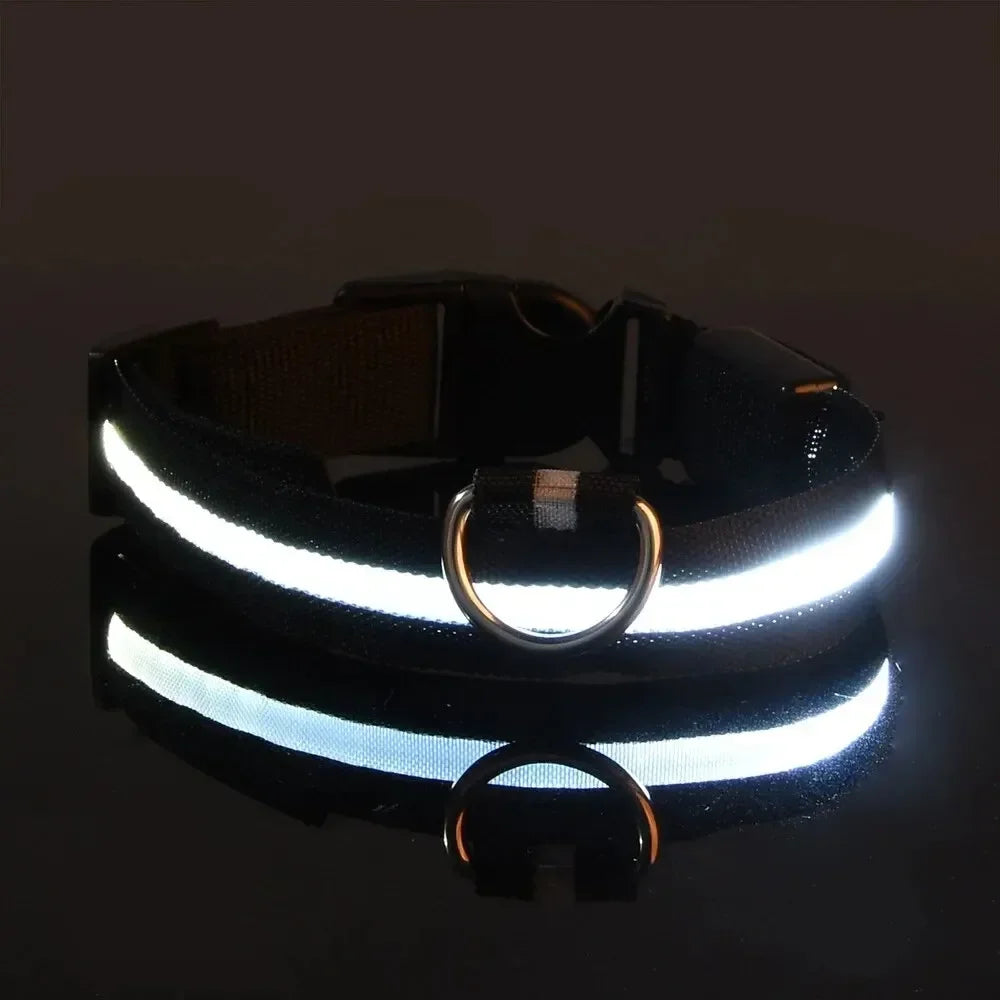 Light Up LED Pet Dog Collar Safety Night Walking Flashing Glow