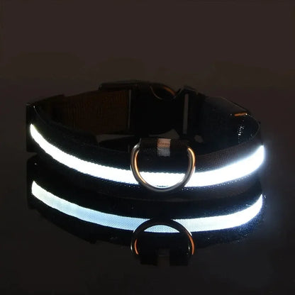 Light Up LED Pet Dog Collar Safety Night Walking Flashing Glow
