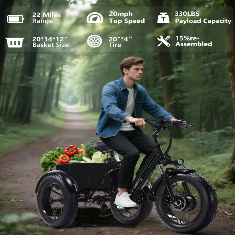 Electric Tricycle for Adults,500W Electric Trike,Electric Bicycle,20"