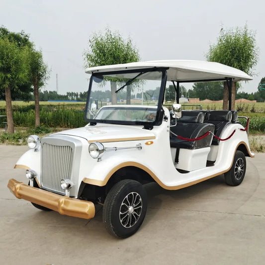 Classical Electrified 4000w New Sightseeing Classic