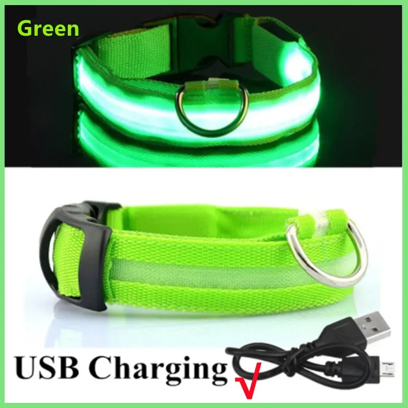 3 Modes Dog Luminous Charge Collar Led Usb Cat Dogs
