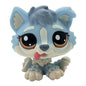 Rare pet toy Stands Short Hair Kitten Dog Dachshund Collie