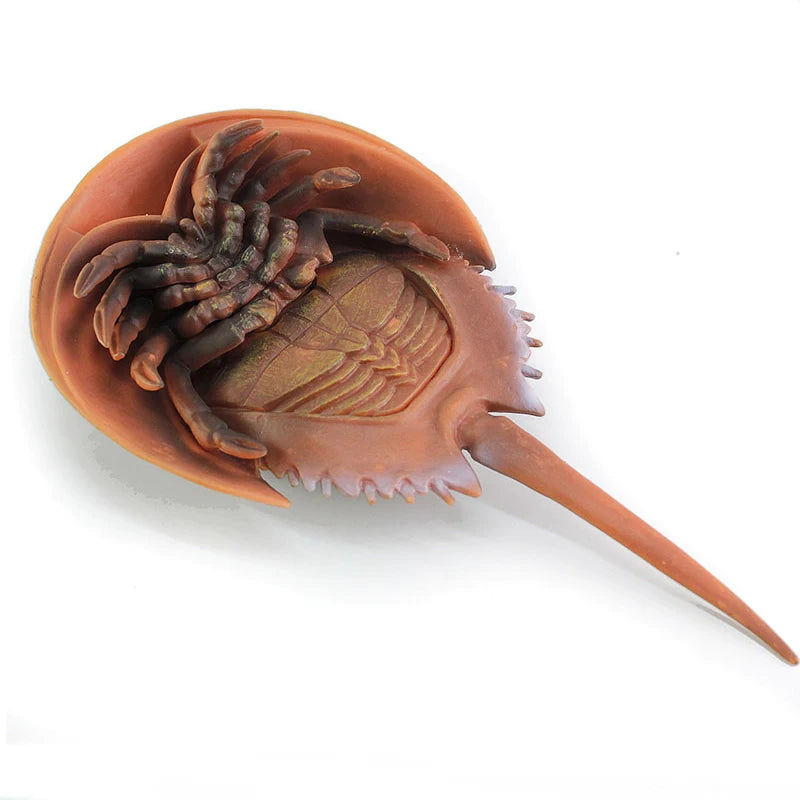 Sea animals Horseshoe Crab Figurine - Plastic Model Anime figures
