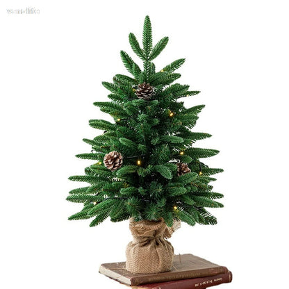 Christmas tree, Christmas, cedar, Christmas decorations, New Year