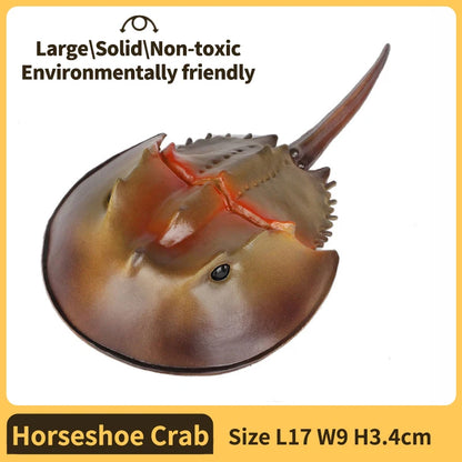 Sea animals Horseshoe Crab Figurine - Plastic Model Anime figures