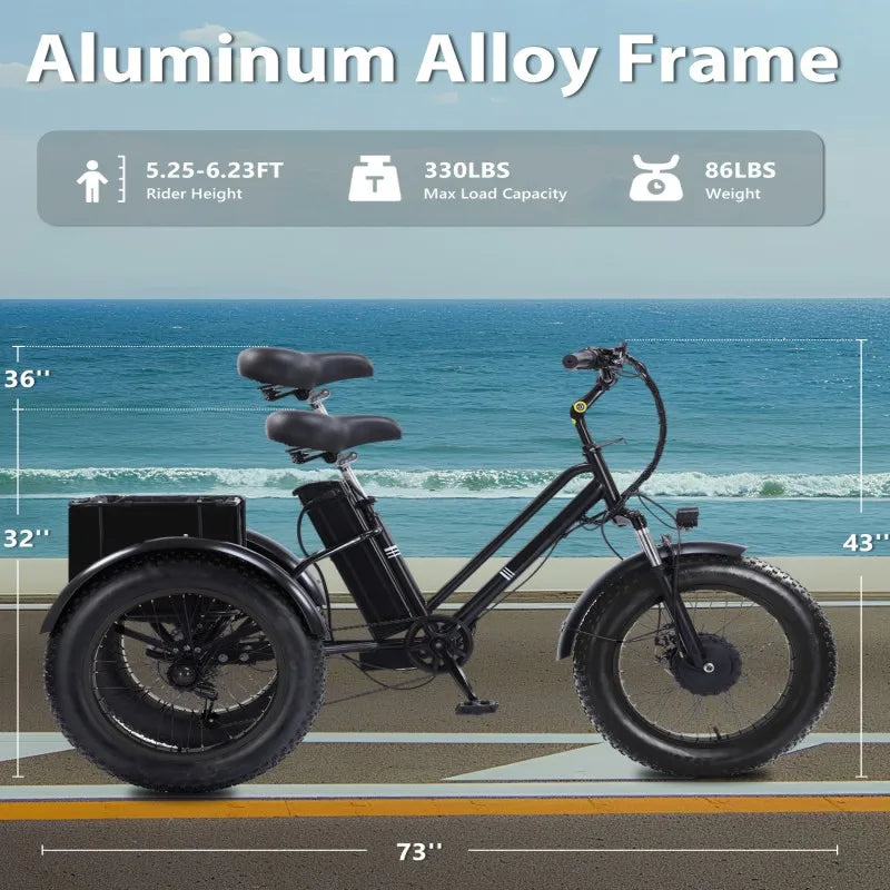 Electric Tricycle for Adults,500W Electric Trike,Electric Bicycle,20"