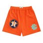 2025 New Summer Eric Emanuel EE Basic Mesh Shorts