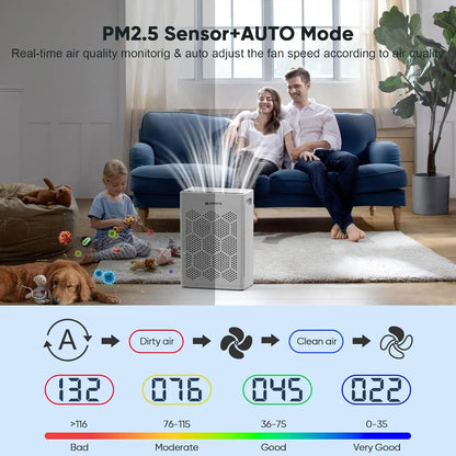 Large Room Air Purifier with HEPA Filter