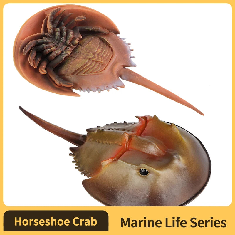 Sea animals Horseshoe Crab Figurine - Plastic Model Anime figures