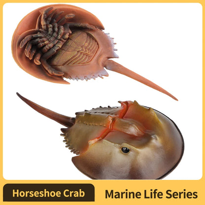 Sea animals Horseshoe Crab Figurine - Plastic Model Anime figures