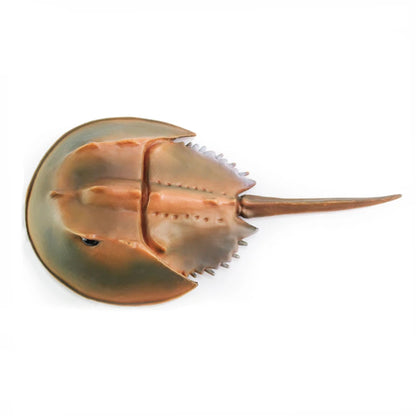 Sea animals Horseshoe Crab Figurine - Plastic Model Anime figures
