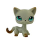 Rare pet toy Stands Short Hair Kitten Dog Dachshund Collie
