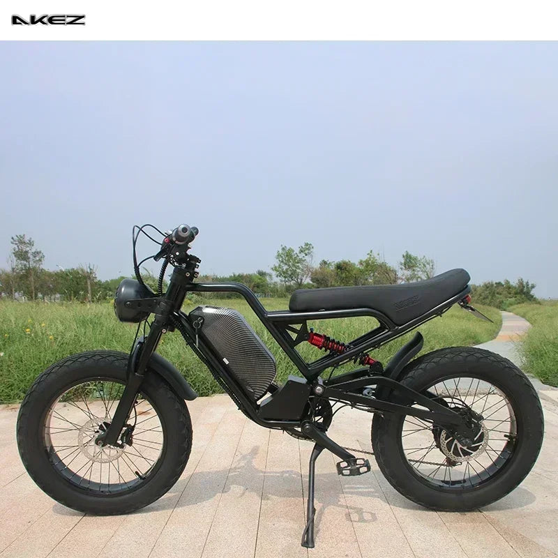 Electric Bicycle Full Suspension Removable Battery Fat TIRE