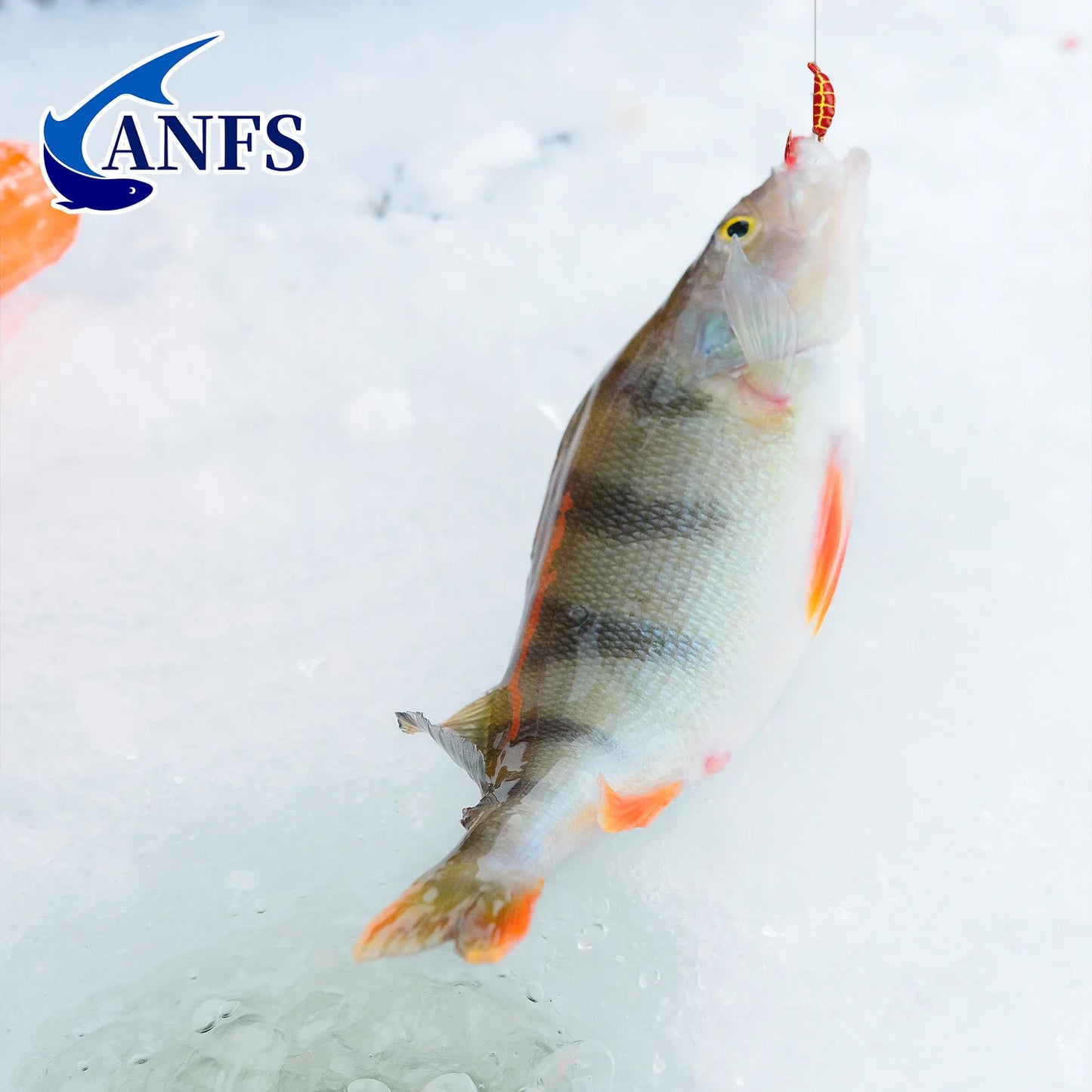 ANFS Ice Fishing Jigs 36pcs Ice Fishing Lures, Walleye Jig