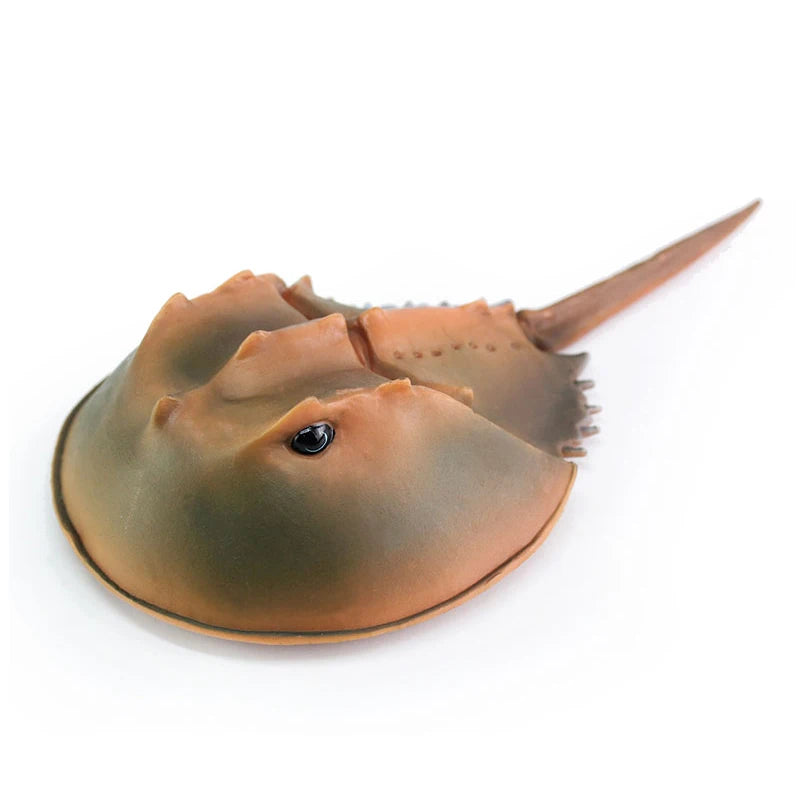Sea animals Horseshoe Crab Figurine - Plastic Model Anime figures