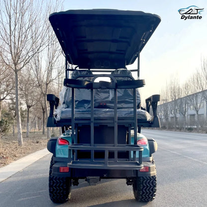 Made in China Low Price 2 4 Seater 48/60V/72V Battery